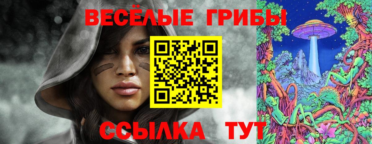 Псилоцибиновые грибы мицелий Советский