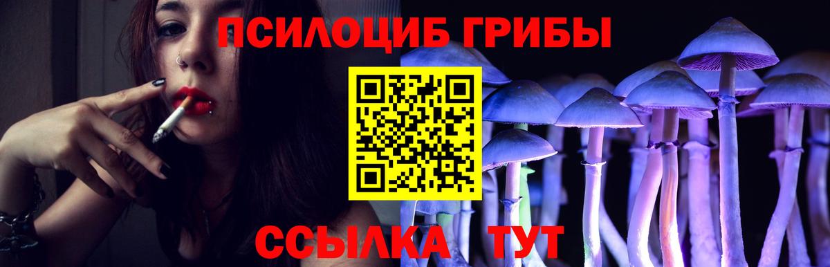 Советский  Псилоцибиновые грибы Cubensis  Вход с VPN 